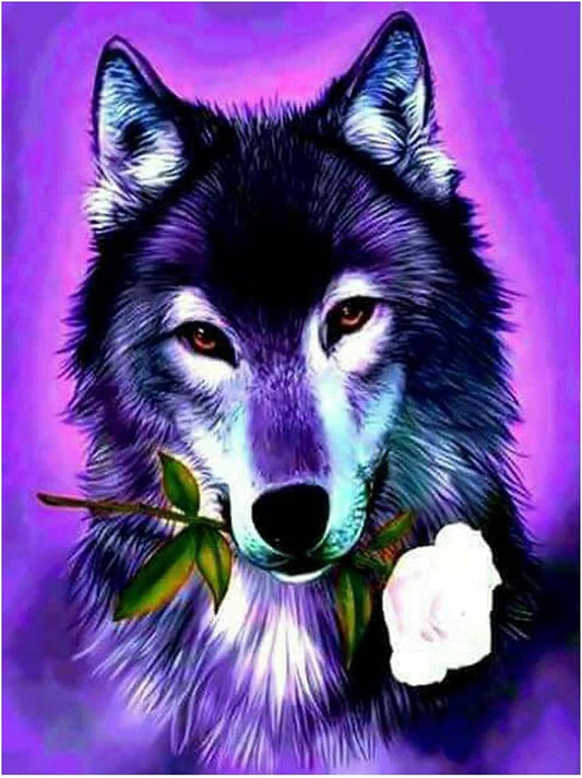 X0011IWQ6T_0